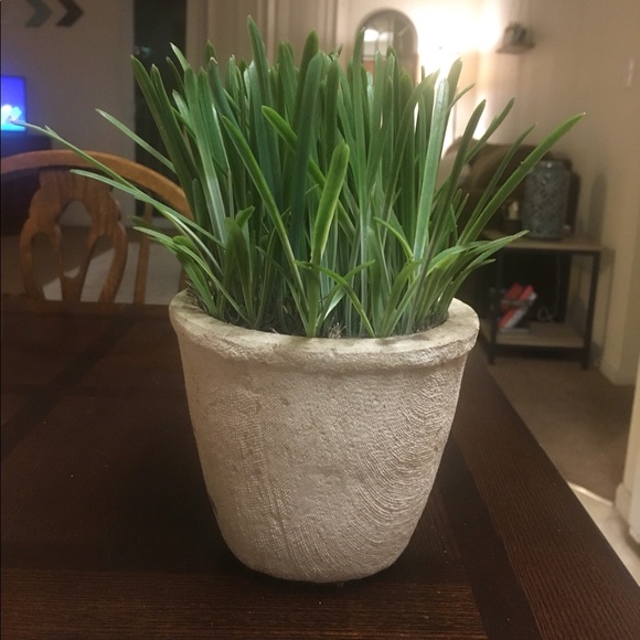 NWOT**Threshold Faux Grass Decorative Plant